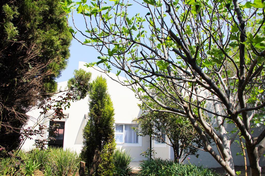 La Coscello Guest House Edenvale Kültér fotó