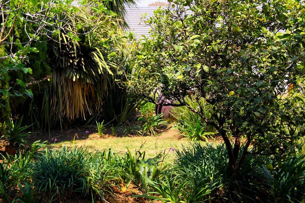 La Coscello Guest House Edenvale Kültér fotó